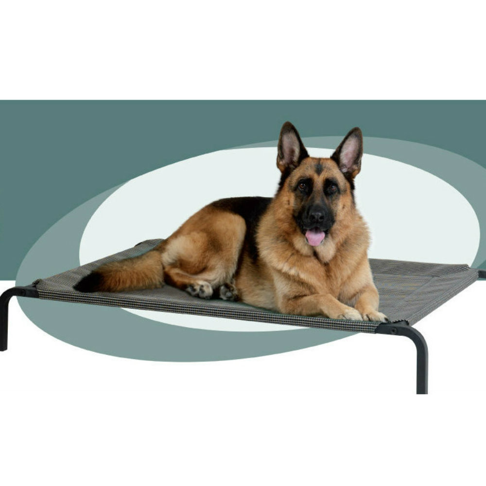 Large dog hot sale trampoline bed